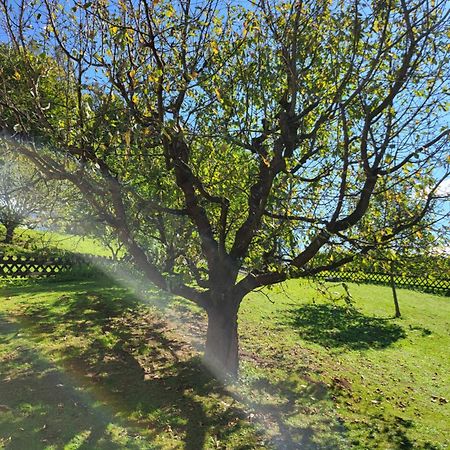 Ferienhaus Zangl Am Seggauberg - Suedsteiermark ليبنيتز المظهر الخارجي الصورة