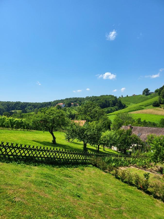 Ferienhaus Zangl Am Seggauberg - Suedsteiermark ليبنيتز المظهر الخارجي الصورة