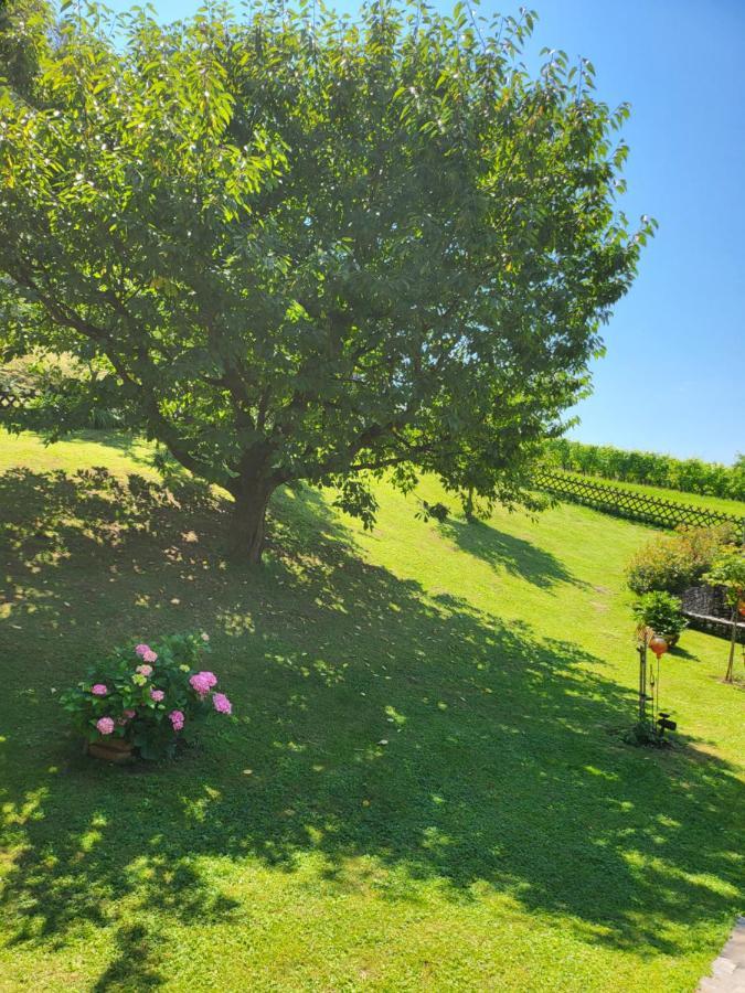 Ferienhaus Zangl Am Seggauberg - Suedsteiermark ليبنيتز المظهر الخارجي الصورة