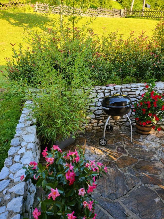 Ferienhaus Zangl Am Seggauberg - Suedsteiermark ليبنيتز المظهر الخارجي الصورة