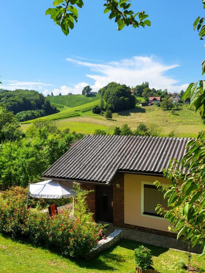 Ferienhaus Zangl Am Seggauberg - Suedsteiermark ليبنيتز المظهر الخارجي الصورة