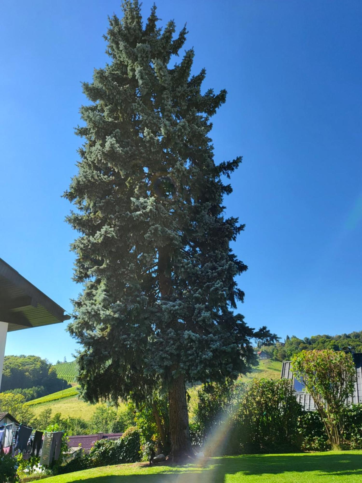 Ferienhaus Zangl Am Seggauberg - Suedsteiermark ليبنيتز المظهر الخارجي الصورة