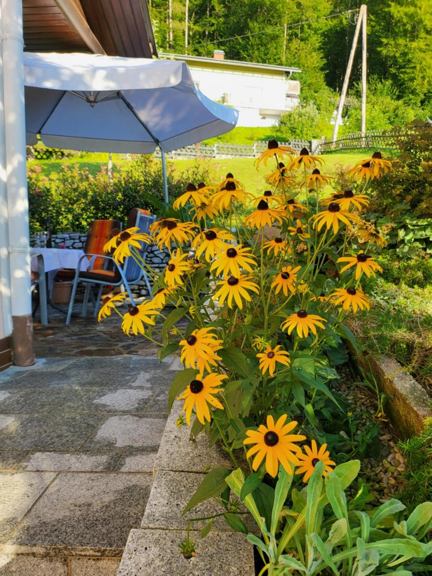 Ferienhaus Zangl Am Seggauberg - Suedsteiermark ليبنيتز المظهر الخارجي الصورة